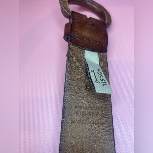 Western Fossil Belt - Picture 4 of 4